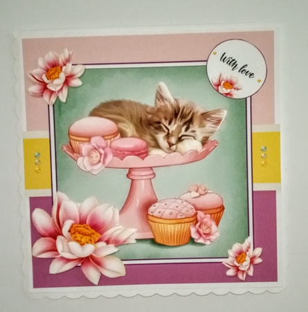 Kitten And Cupcakes by Jackie Odonnell