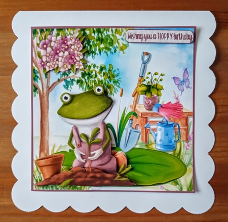 Gardening Frog 2 by Jackie Odonnell