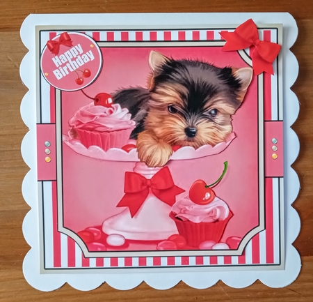 Sweet Birthday by Jackie Odonnell