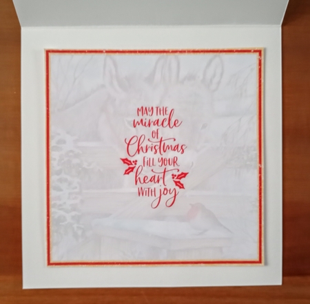 Winter Friends Bumper Kit #1 *    by Jackie Odonnell