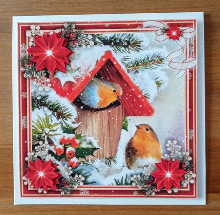 Winter Robins Mini Kit #4   by Jackie Odonnell