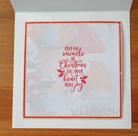 Winter Robins Mini Kit #4   by Jackie Odonnell