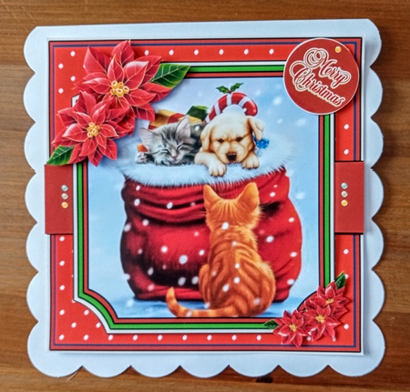 The Magic Of Christmas 2 by Jackie Odonnell