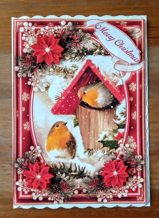 Winter Robins 5X7  Mini Kit #4 by Jackie Odonnell
