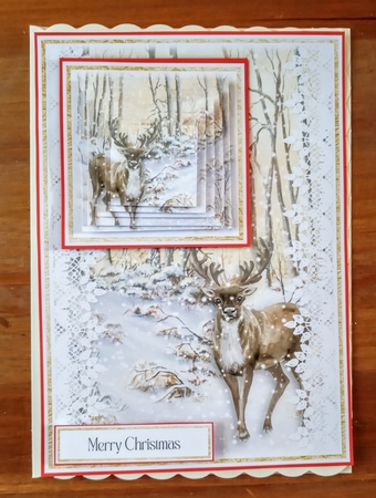 Christmas Reindeer 7x5 Mini Kit by Jackie Odonnell