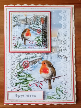 Christmas Robin 7x5 Mini Kit by Jackie Odonnell