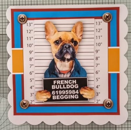 Guilty French Bulldog by Jackie Odonnell