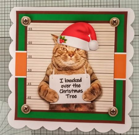 Guilty Christmas Cat by Jackie Odonnell