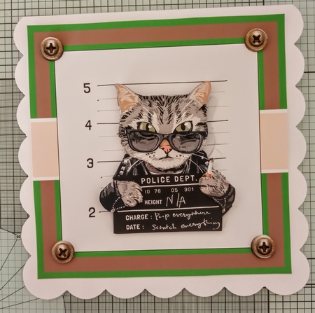 Bad Kitty by Jackie Odonnell