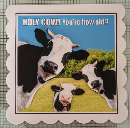 HOLY COW  by Jackie Odonnell