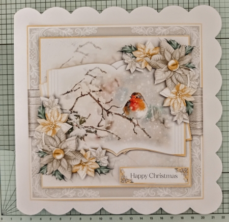 Christmas British Birds Robin Open Book by Jackie Odonnell