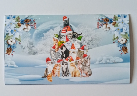 Christmas Tree Of Cats. by Jackie Odonnell
