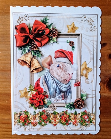 Christmas Guinea Pig Mini Kit-2 by Jackie Odonnell