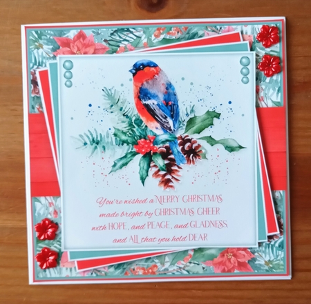 Bullfinch 6inch Quick Card Collection by Jackie Odonnell