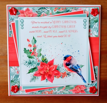 Bullfinch 6inch Quick Card Collection by Jackie Odonnell