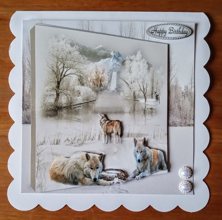 wolves in the snow by Jackie Odonnell