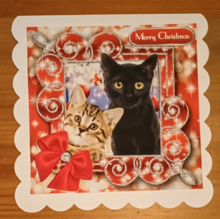 Christmas Cats by Jackie Odonnell