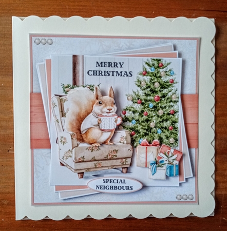 Squirrel with Cocoa Mini Kit by Jackie Odonnell
