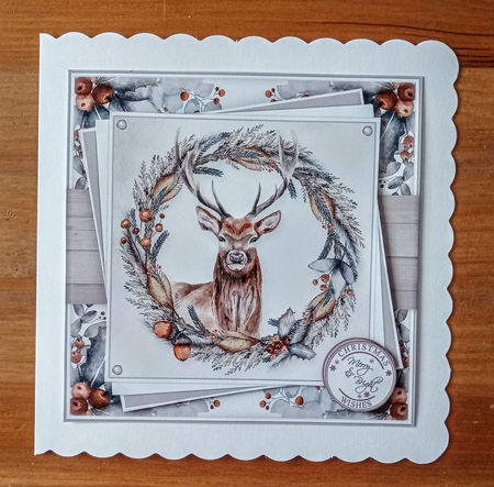 6inch Winter Forest Collection by Jackie Odonnell