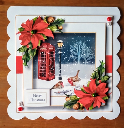 Festive Nights - Telephone Box & Robins by Jackie Odonnell