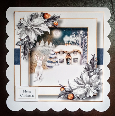 Festive nights - Cottage & Snowy Hare by Jackie Odonnell