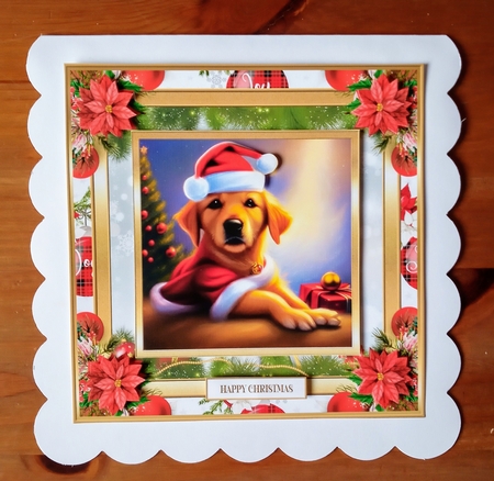 Christmas Dont I look cute 7x7ins Topper  by Jackie Odonnell