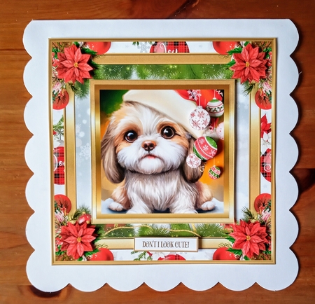 Christmas Dont I look cute 7x7ins Topper 2 by Jackie Odonnell