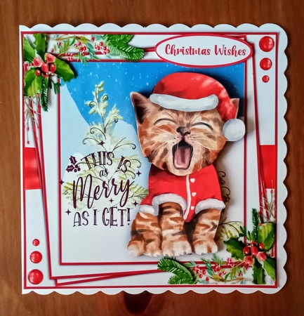 8x8 Mini Kit, This is as Merry as I Get by Jackie Odonnell