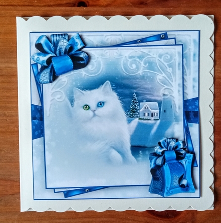 Winter Cat White Bumper Kit #1  by Jackie Odonnell