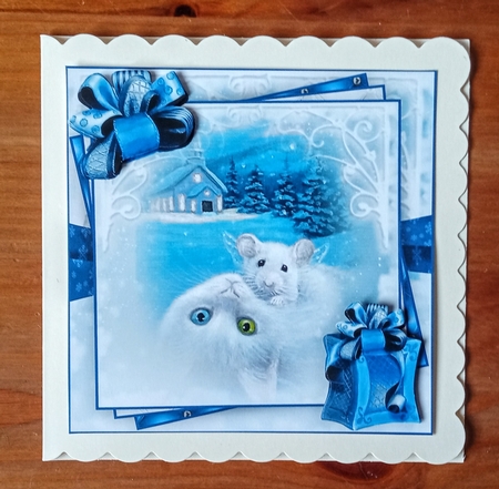 Winter Cat White Bumper Kit #1  by Jackie Odonnell