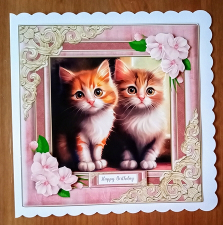 Cute Kitties by Jackie Odonnell