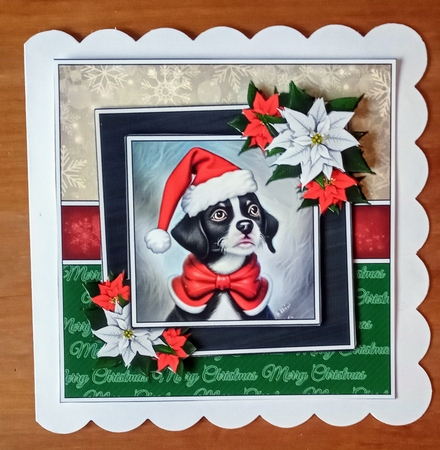 The Christmas Pooch by Jackie Odonnell