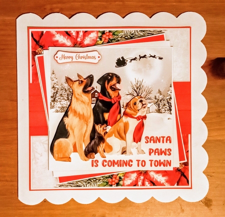 Santa Paws Mini Kit by Jackie Odonnell