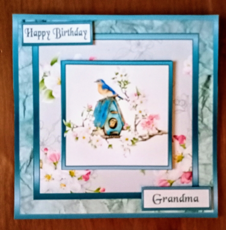 SC Blue bird house by Jackie Odonnell
