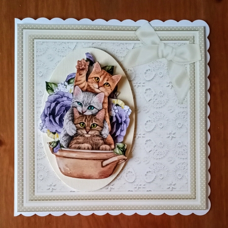 Funny Cats In The garden by Jackie Odonnell