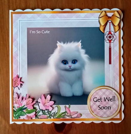 Cute kitten by Jackie Odonnell