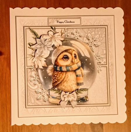 The Little owl snowglobe by Jackie Odonnell