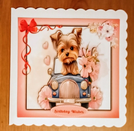 7x7 Gorgeous Yorkie in a Car by Jackie Odonnell