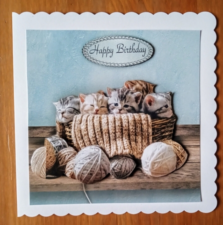 kittens and wool by Jackie Odonnell