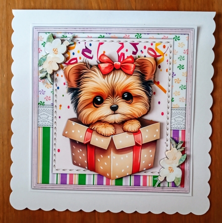 8x8 Mini Kit, Gorgeous Pup in a Box 1 by Jackie Odonnell