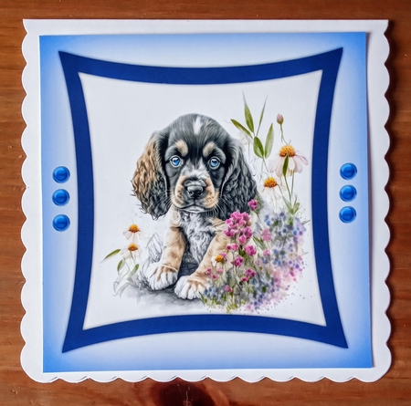 7x7 Quick Card , Gorgeous American Cocker Spaniel  by Jackie Odonnell
