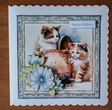 Cute kittens and flowers 7x7 by Jackie Odonnell