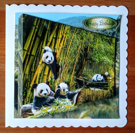 pandas lunch by Jackie Odonnell