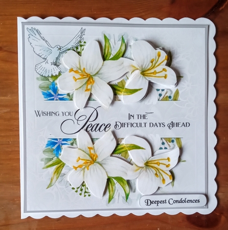 Peace in the days ahead by Jackie Odonnell