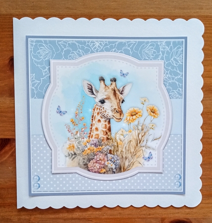 WILD ANIMALS SET 1 - NO FLOWERS by Jackie Odonnell