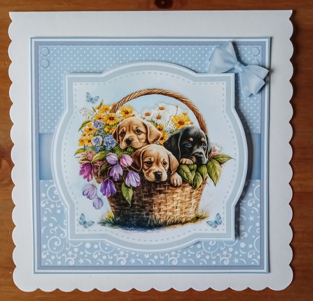 PUPPY & KITTEN BASKETS set 1 by Jackie Odonnell