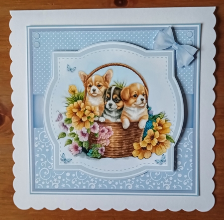 PUPPY & KITTEN BASKETS set 1 by Jackie Odonnell