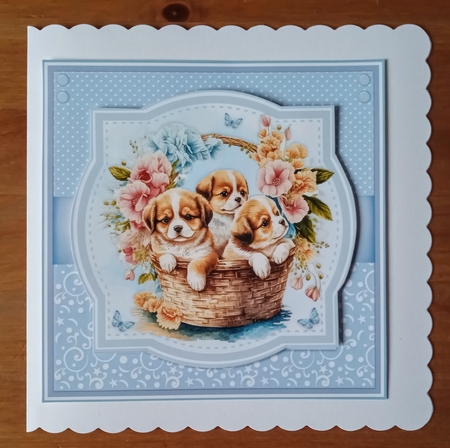 PUPPY & KITTEN BASKETS set 2 by Jackie Odonnell