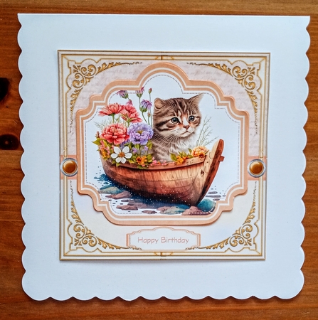 Cat in boat 1 by Jackie Odonnell