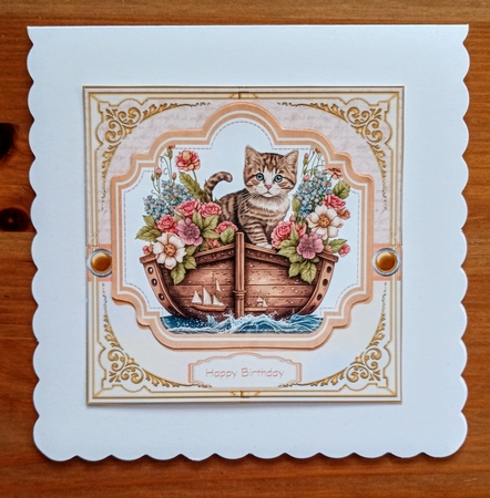 Cat in boat 1 by Jackie Odonnell